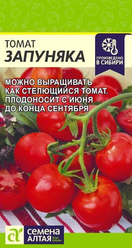 Томат "Запуняка" семена Алтая для открытого грунта и теплиц, 0,05 гр  #1