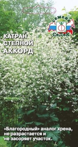 Катран Аккорд 0,3гр. (Поиск) #1