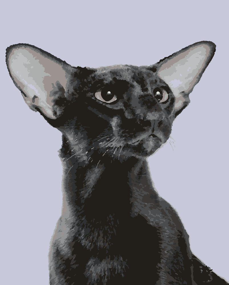 Картина по номерам 40х50 см. Холст на подрамнике Ориентал. Кошка, кот.  #1