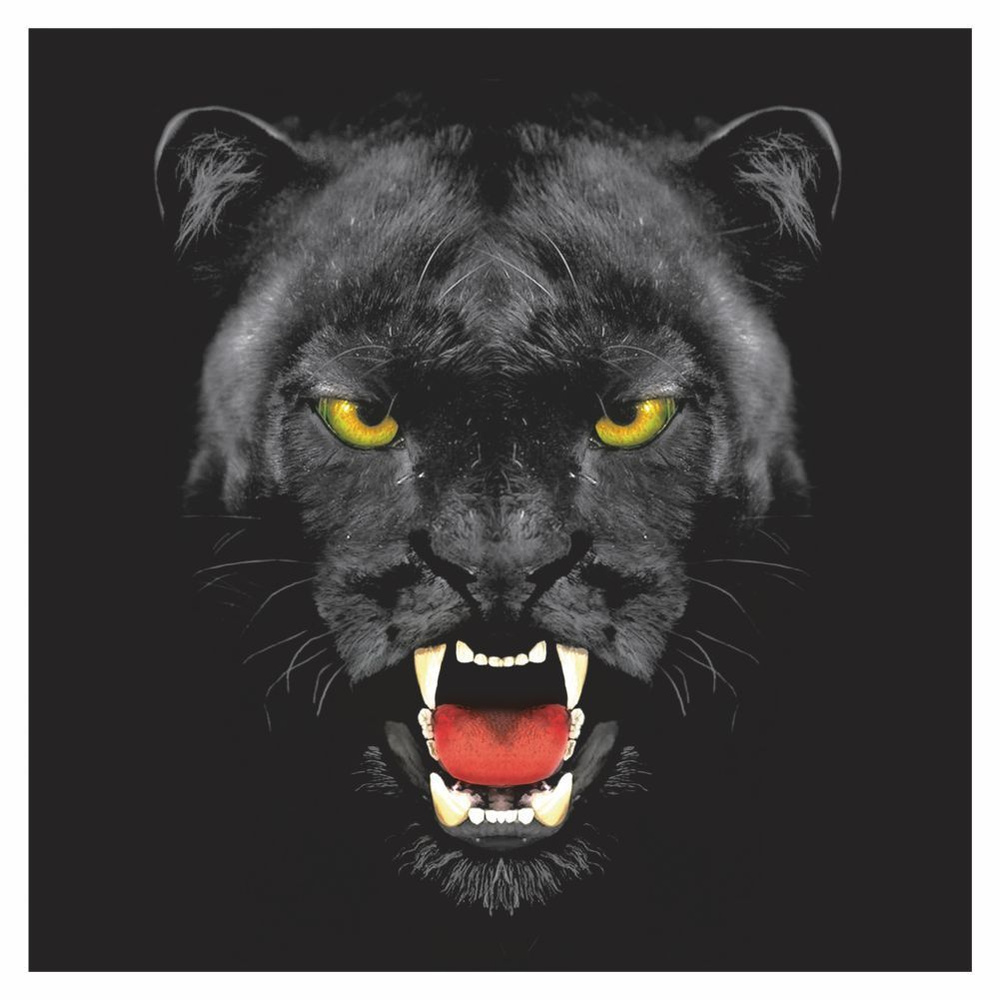 портрет звери цветные "Черная пантера" 300х300мм, Арт рэйсинг  #1