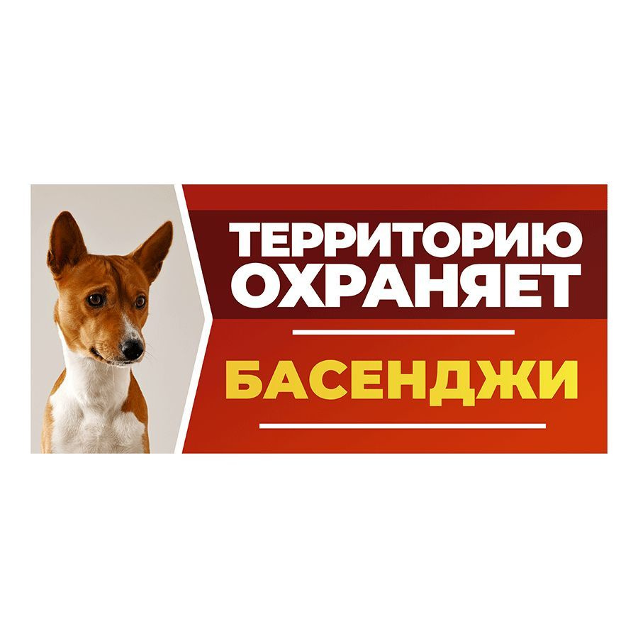 Табличка, DANGER DOG, Басенджи, на забор, 30см х 14см #1