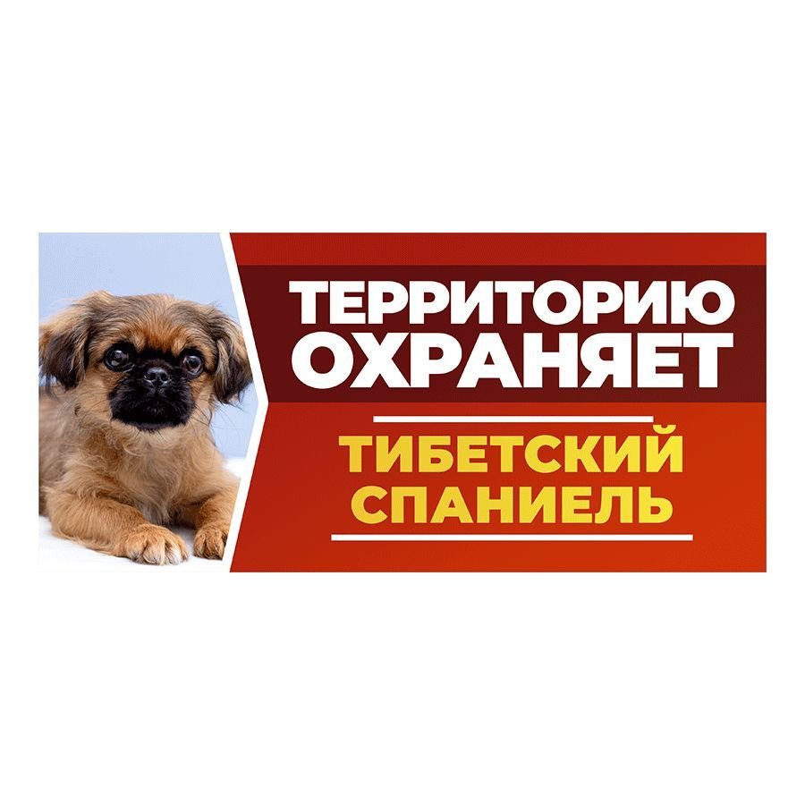 Табличка, DANGER DOG, Тибетский спаниель, на забор, 30см х 14см #1