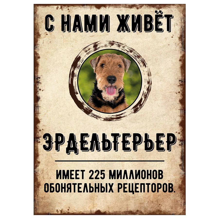 Табличка, декоративная, DANGER DOG, С нами живет Эрдельтерьер, 18см х 25см  #1