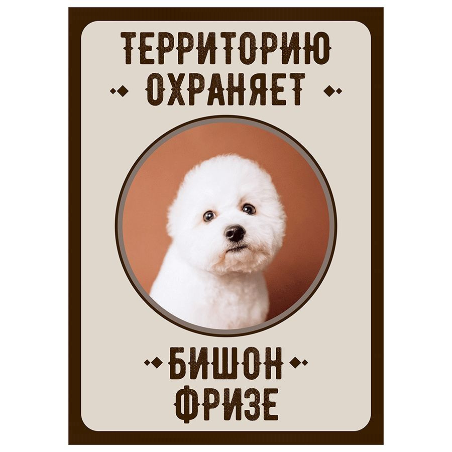 Табличка, Злая собака, Территорию охраняет Бишон фризе, на металлической основе, 18см х 25 см, на забор, #1
