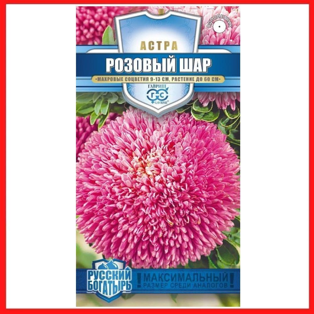 Семена Астра густомахровая "Розовый шар" 0,05 гр, однолетние цветы для дачи, сада и огорода, клумбы, #1