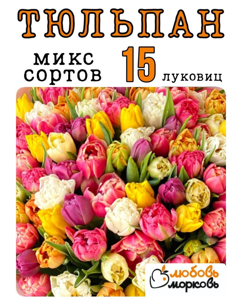 Тюльпан Луковица, Микс сортов, 15 шт (Любовь морковь) #1