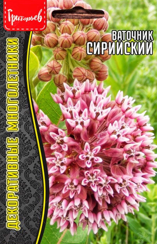 Ваточник Сирийский (Asclepias syriaca), 1 пакет, семена 15 шт, ЧК #1