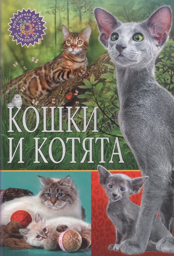 Кошки и котята #1