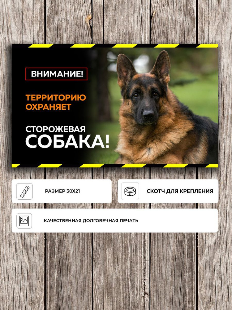 Красивая табличка "Осторожно злая собака" с Немецкой овчаркой черная А4 (30х21см)  #1