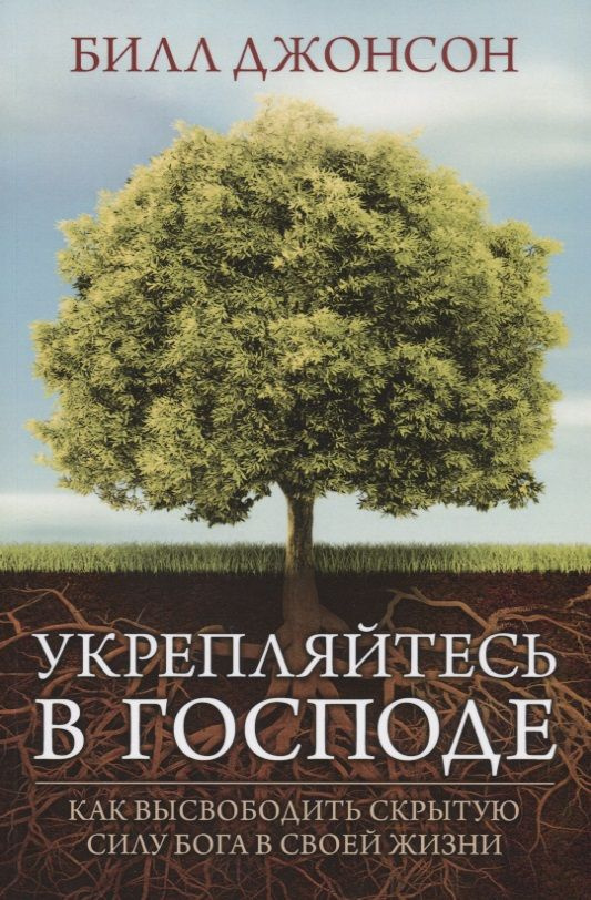 Укрепляйтесь в Господе Как высвободить скрытую силу Бога в своей жизни ...