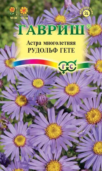 Семена Астра Рудольф Гете, итальянская (многолетняя) 0,05 г /1 упаковка / Многолетники  #1