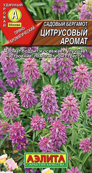 Бергамот "Цитрусовый аромат" семена Аэлита для открытого грунта, 0,02 гр  #1