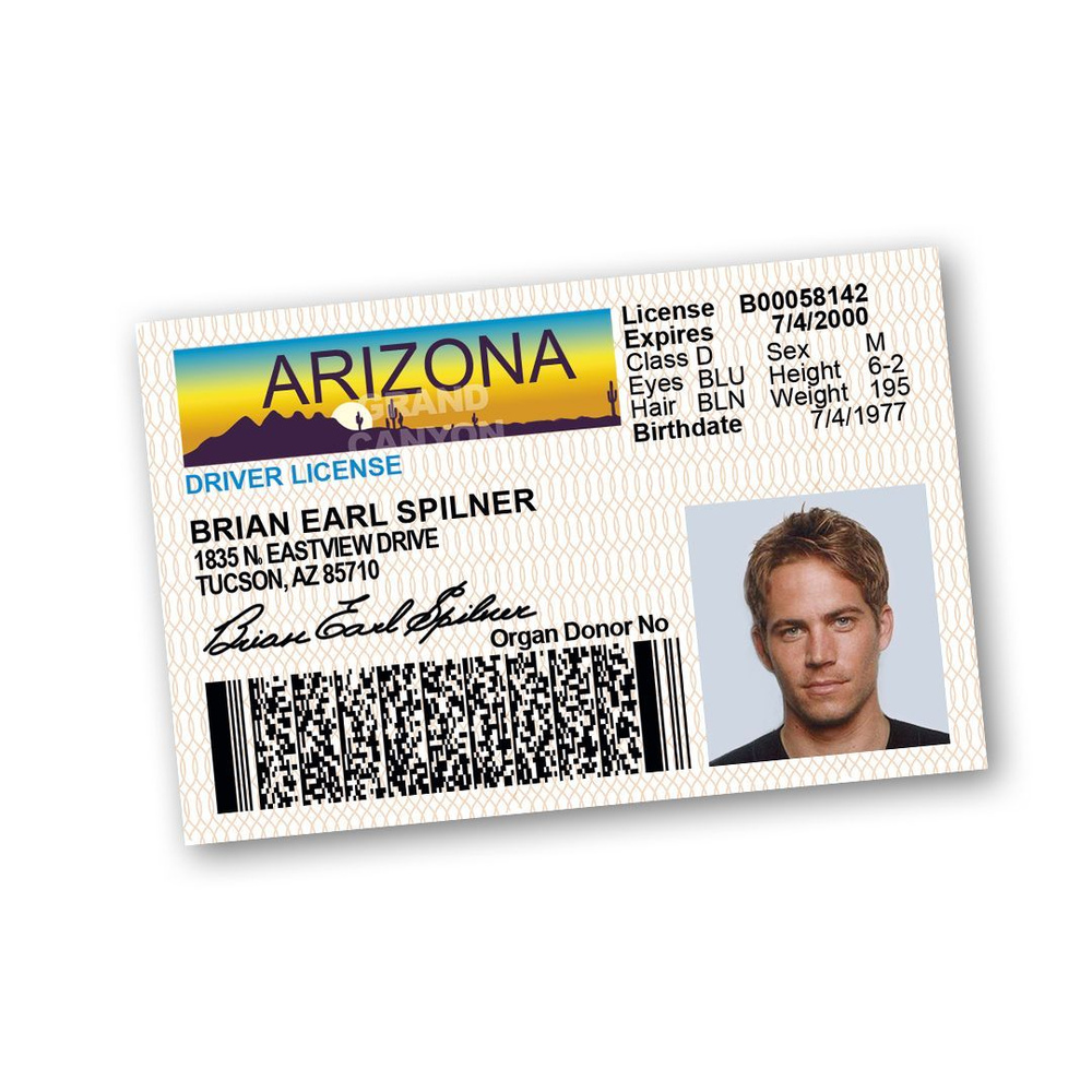 Сувенирные водительские права Пол Уокер (DRIVER LICENCE ARIZONA) 86х56 мм -  купить с доставкой в интернет-магазине OZON (1158567803)