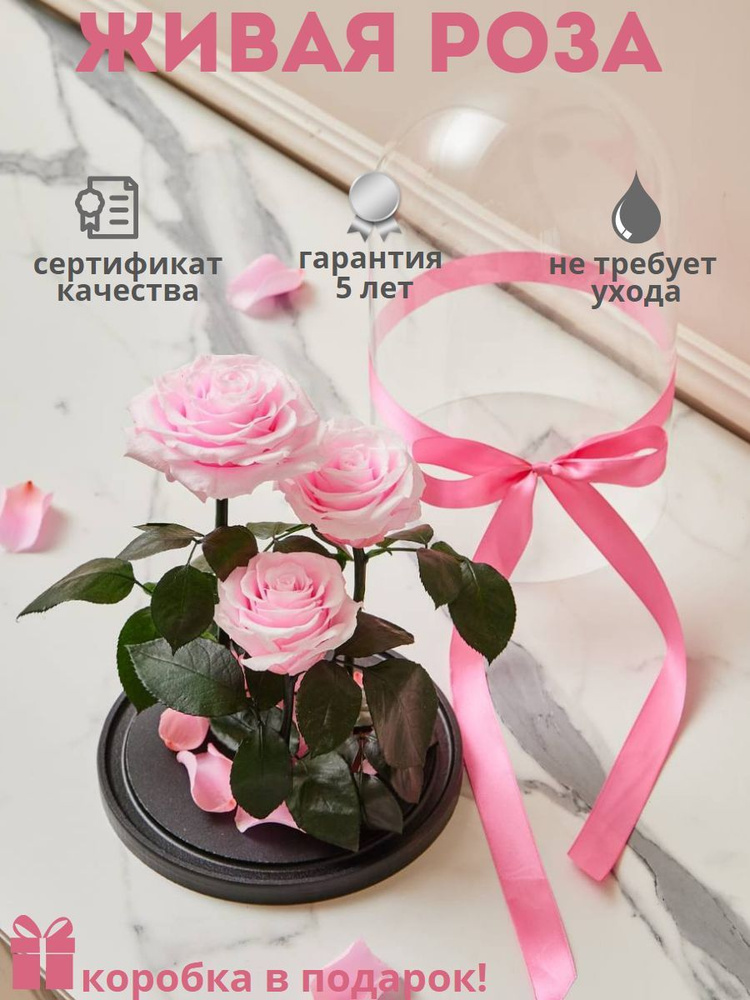 Роза в колбе живая, вечная, стабилизированная "Тройная L+PR", 32 см, подарок маме, женщине, на 8 марта, #1