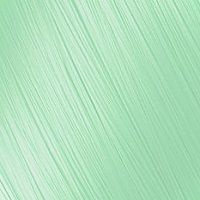 Wild Color Direct Color Биоламинирование для волос Mint Мятный, 180мл  #1