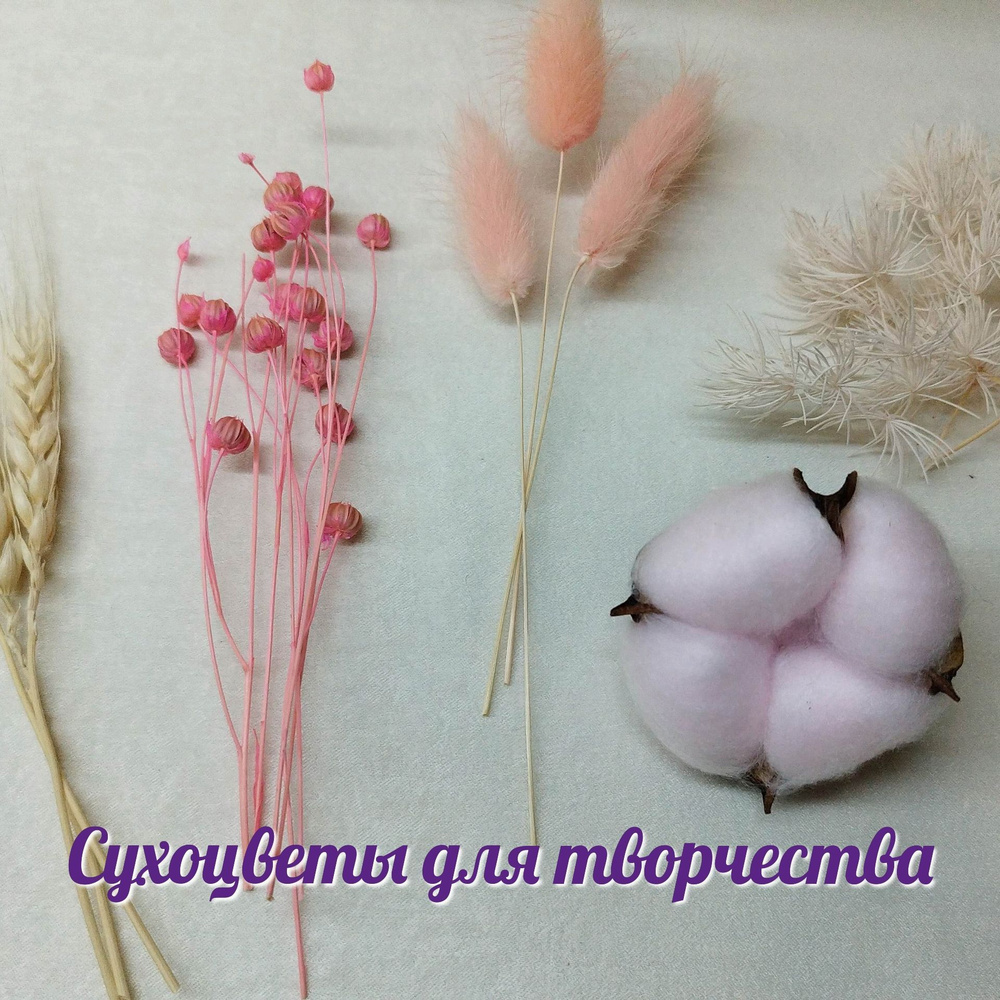 Сухоцветы Лагурус, Аспарагус, 12 см, 20 гр, 5 шт #1