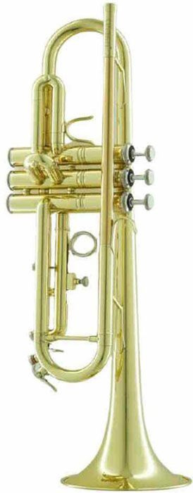 Труба Bb CarolBrass CTR-3050H-YSS-Bb-L #1