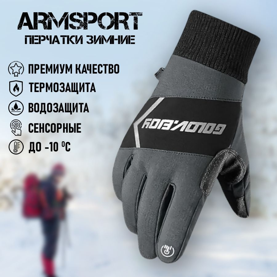 Перчатки мужские зимние спортивные мотоциклетные Armsport, серые  #1