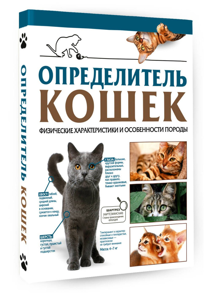 Определитель кошек. Физические характеристики и особенности породы | Смирнов Дмитрий Сергеевич, Спектор #1