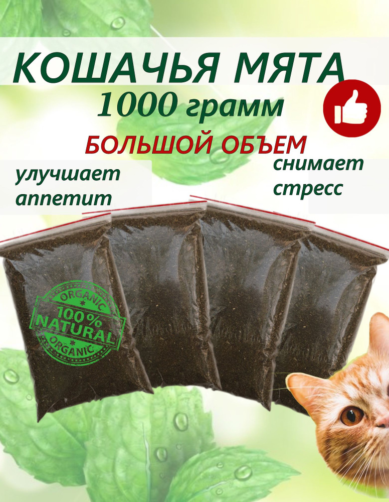 Кошачья мята сушеная для кошек 1кг ( 250, 500 грамм). Котовник рассыпной. Большой объем. Трава для кошек #1