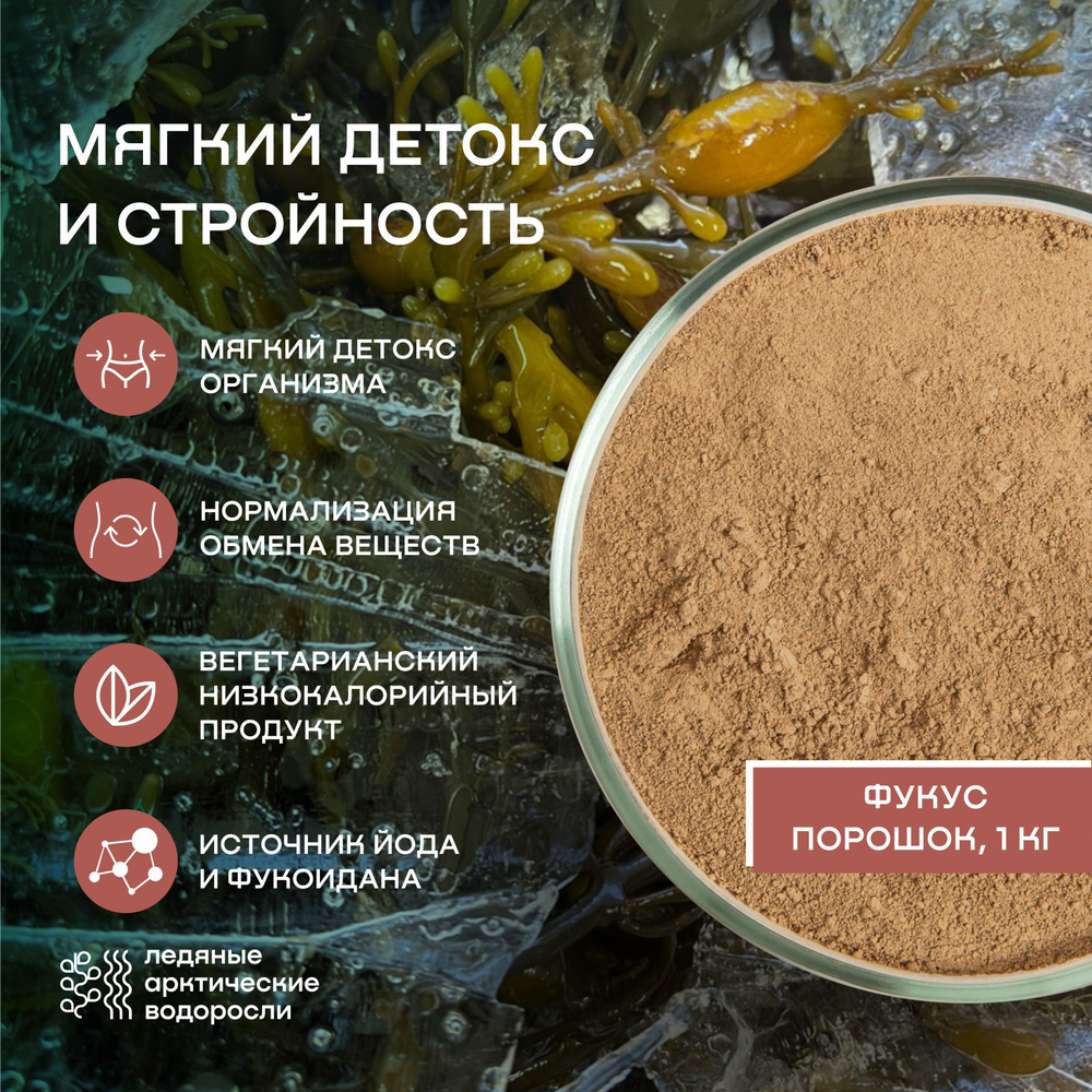 Водоросли беломорские пищевые Фукус порошок SMARTKELP 1 кг #1