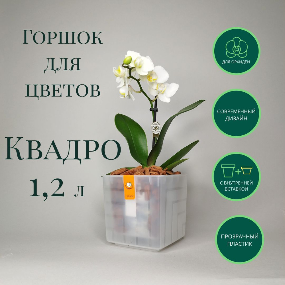 Горшок для орхидей Квадро 1,2 л; 12 х 11,5 х 11,5см, прозрачный #1