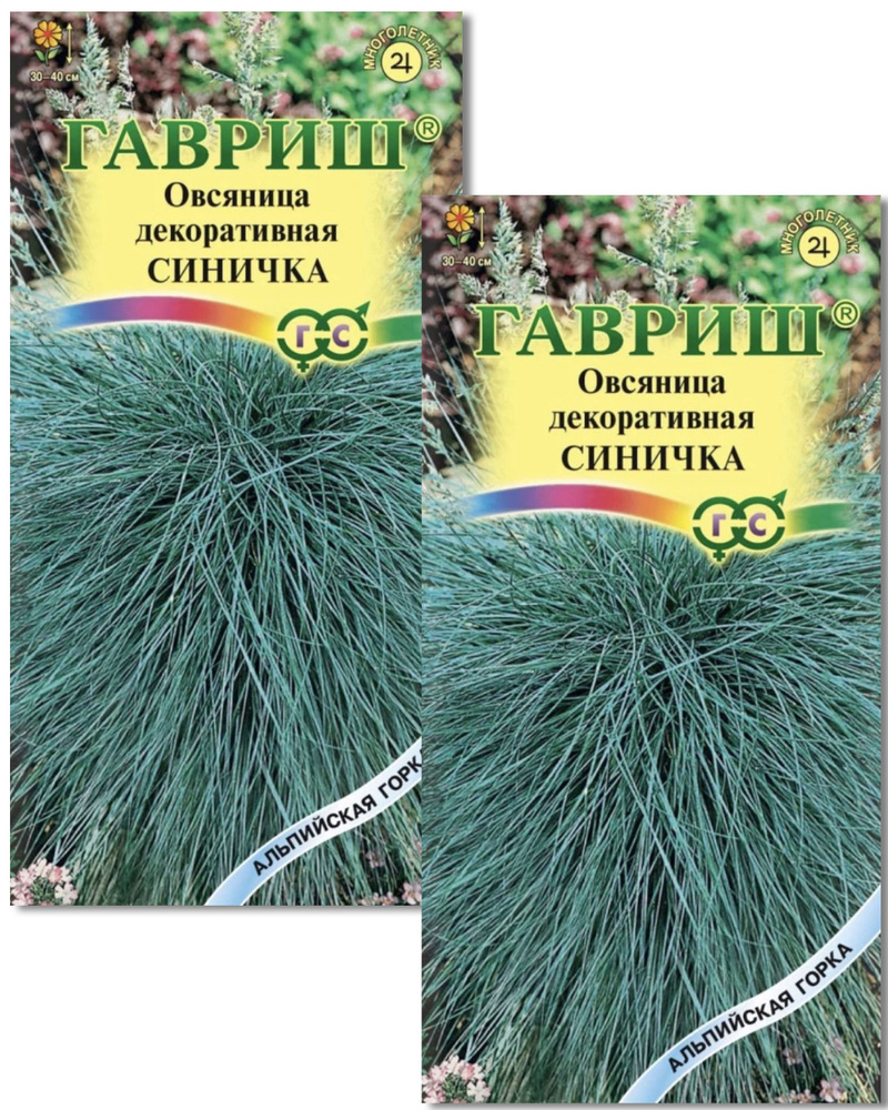 Овсяница декоративная СИНИЧКА , 2 пакета, семена 0,1г, ГАВРИШ, многолетник  #1