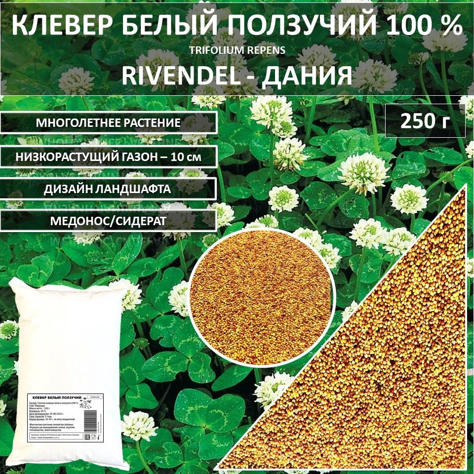 Газон 100 % Клевер белый Rivendel DlF Ривендел ДЛФ Ривендел 250 г газонная трава семена  #1