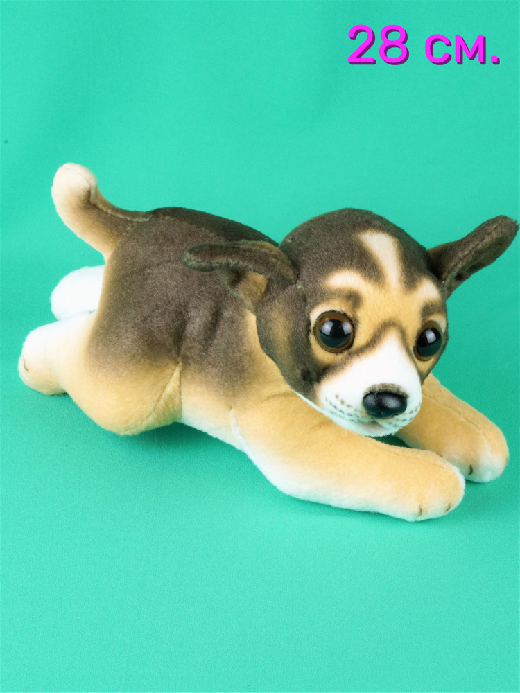 Мягкая игрушка собака Чихуахуа 25 см. #1