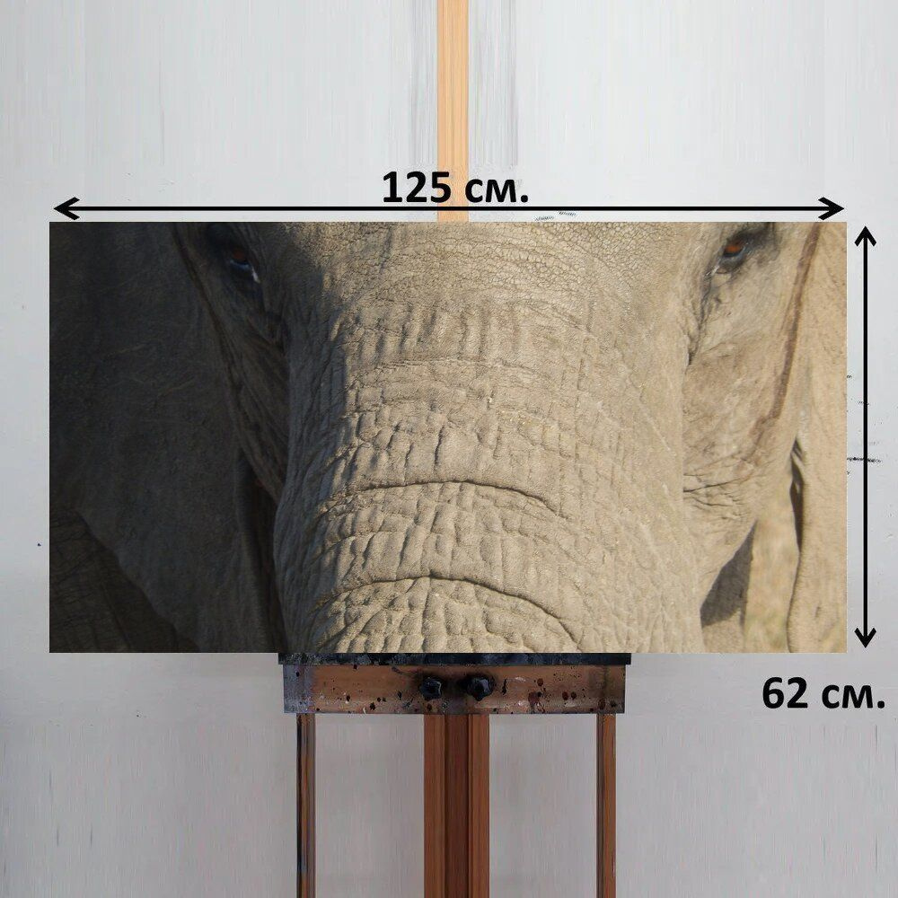 LotsPrints Картина "Слон, голова, толстокожий 16", 125  х 62 см #1