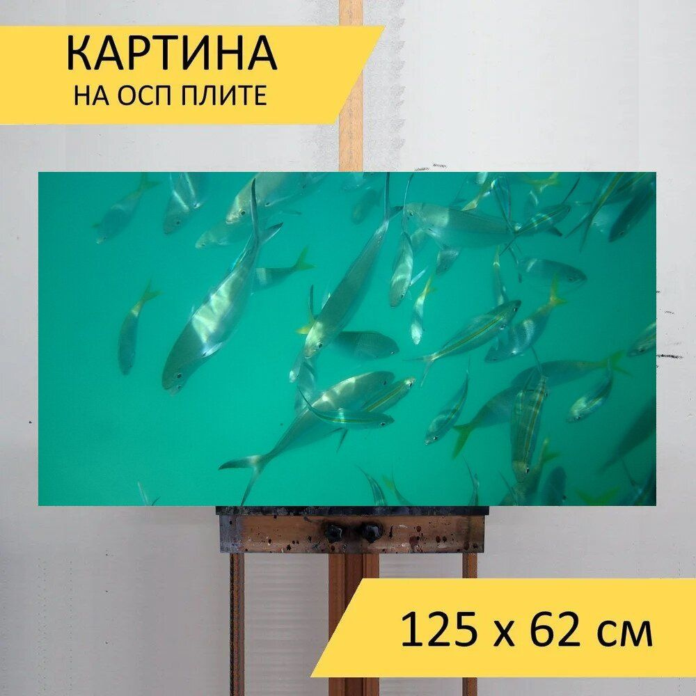 LotsPrints Картина "Рыбы, чистая вода, вода 46", 125  х 62 см #1