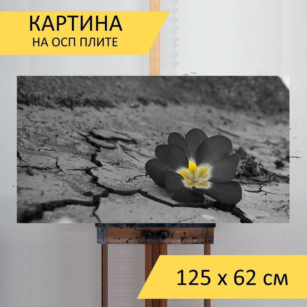 LotsPrints Картина "Пустыня, цветок, засуха 85", 125  х 62 см #1