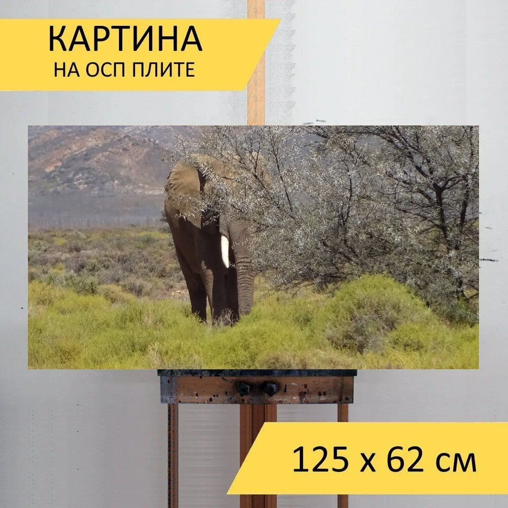 LotsPrints Картина "Слон, толстокожий, фауна 94", 125  х 62 см #1