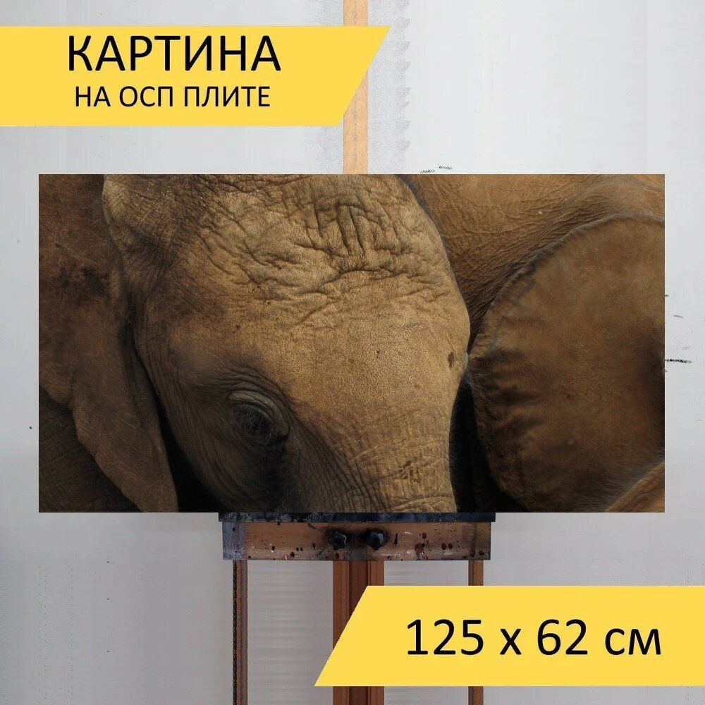 LotsPrints Картина "Слон, детка, толстокожий 66", 125  х 62 см #1