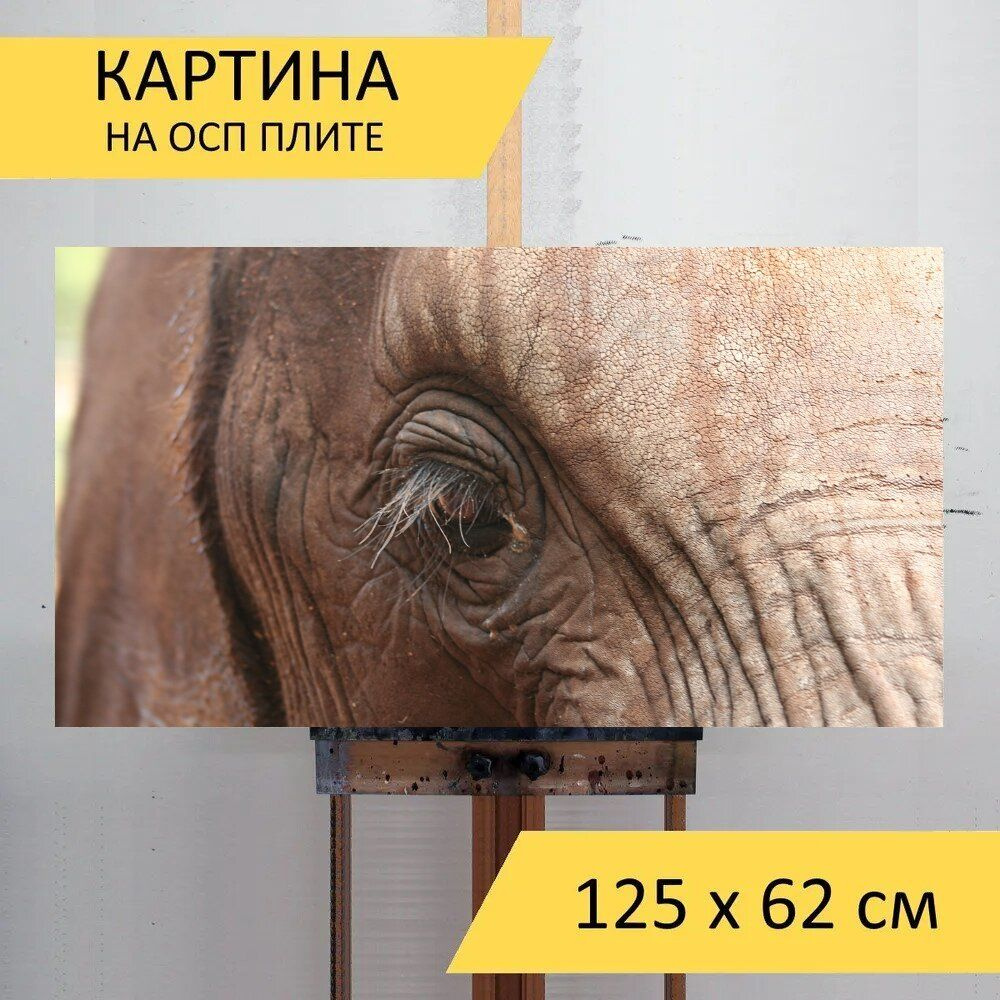 LotsPrints Картина "Слон, млекопитающее, природа 84", 125  х 62 см #1