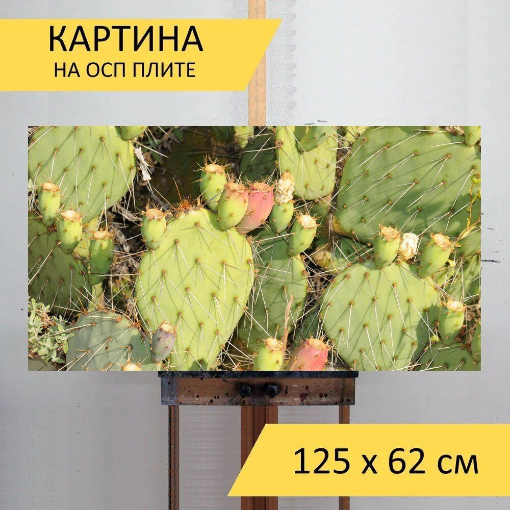 LotsPrints Картина "Кактус, кактусы, растения 96", 125  х 62 см #1