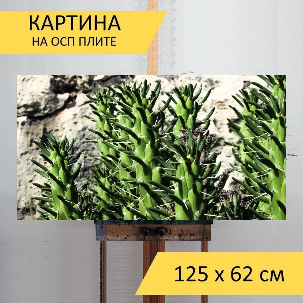 LotsPrints Картина "Кактус, шипы, завод 81", 125  х 62 см #1