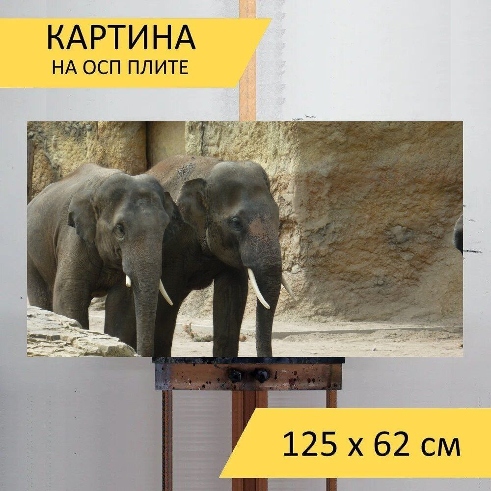 LotsPrints Картина "Слоны, зоопарк, дикий 88", 125  х 62 см #1