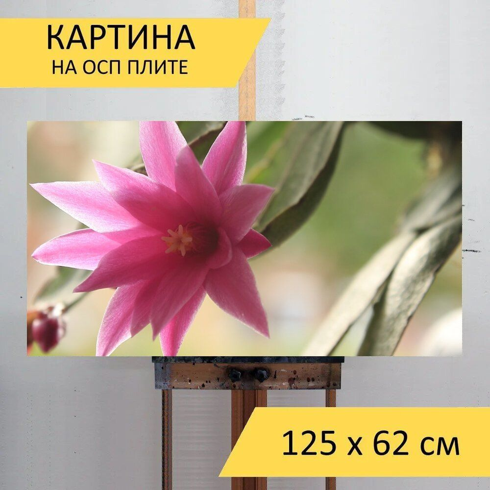 LotsPrints Картина "Кактус, цвести, фиолетовый 55", 125  х 62 см #1