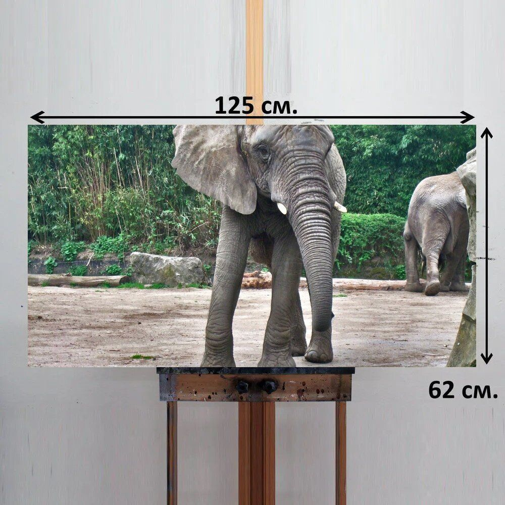 LotsPrints Картина "Слон, серый, зоопарк 14", 125  х 62 см #1