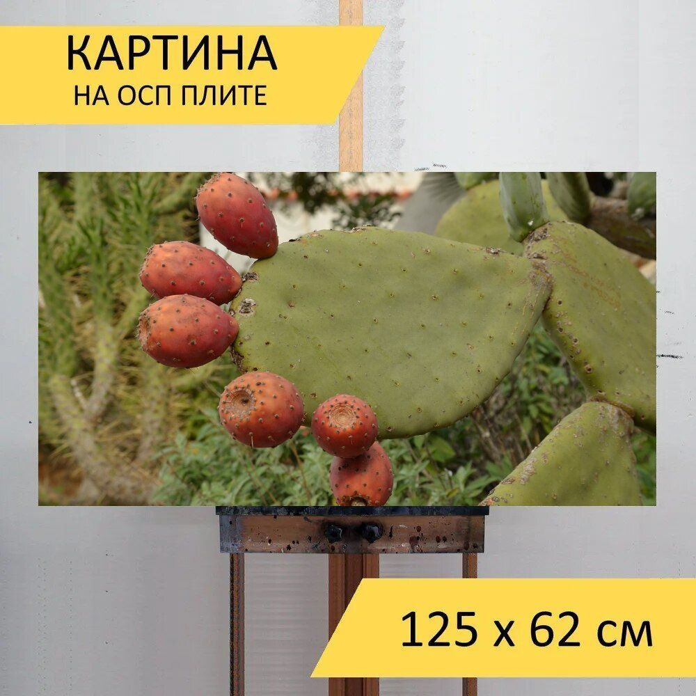 LotsPrints Картина "Кактус, фрукты, завод 39", 125  х 62 см #1