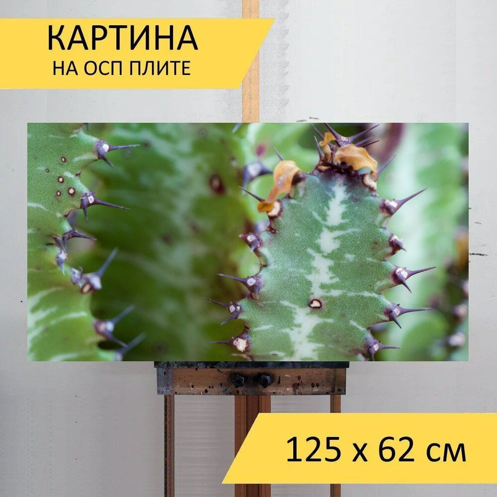 LotsPrints Картина "Кактус, завод, зеленый 03", 125  х 62 см #1