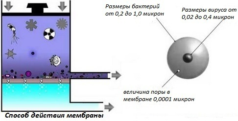 Текст при отключенной в браузере загрузке изображений