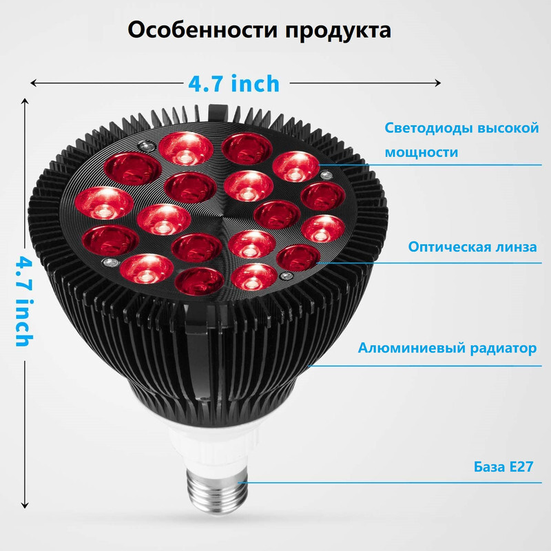 Текстовое описание изображения