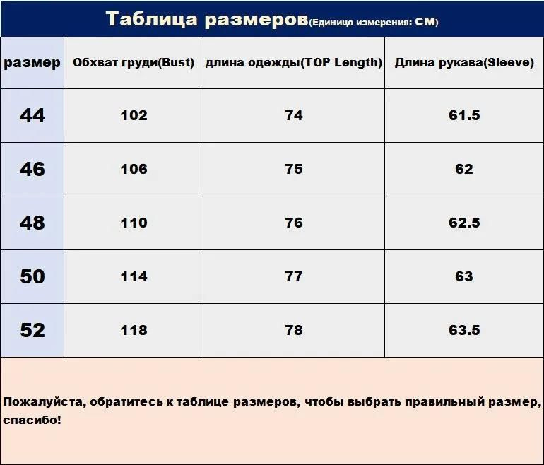 Текстовое описание изображения