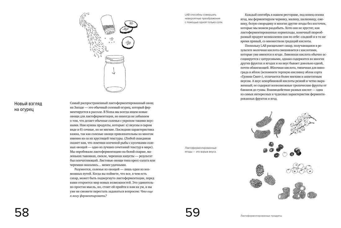Гид по ферментации от ресторана Noma | The Noma Guide to Fermentation - Ozon image 5