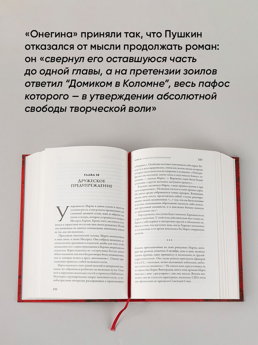 Полка: О главных книгах русской литературы (тома I, II) | The Polka: On the Main Books of Russian Literature (Volumes I and II) - Ozon image 4