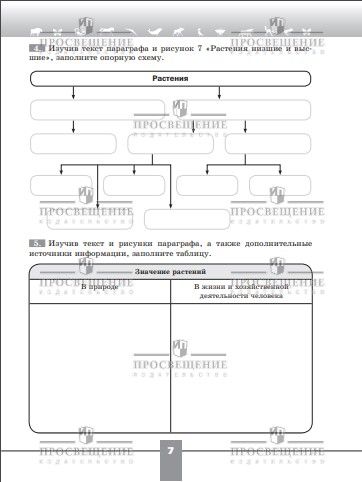 Биология. Рабочая тетрадь. 6 класс. Базовый уровень. ФГОС | Biology. Workbook. Grade 6. Basic Level. Federal State Educational Standard - Ozon image 4