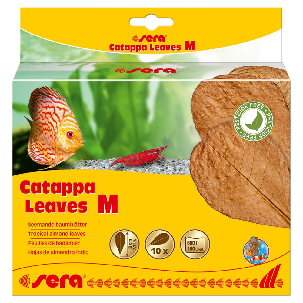 Листья индийского миндаля Sera Catappa Leaves M, 18 см #1