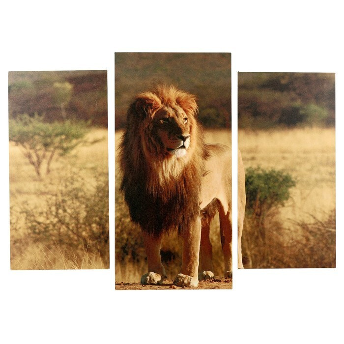 Модульная картина "Король саванны" (2-25х50, 30х60 см) 60х80 см #1